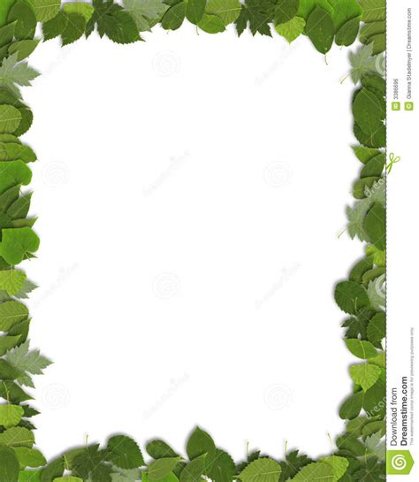 Vertical Green Leaf Border Stock Photo Image Of Background 3386696