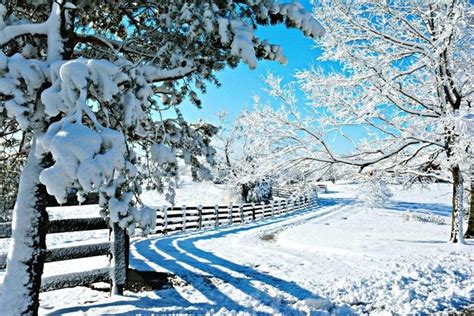 50 Beautiful Winter Pictures Across America Birds And Blooms