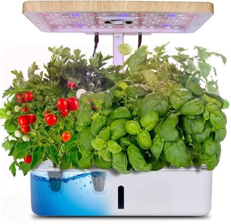 Best Indoor Vegetable Garden Growing System 2022