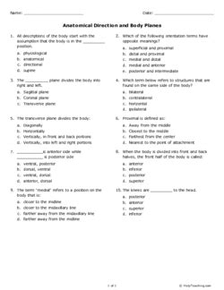 Anatomical direction and body planes