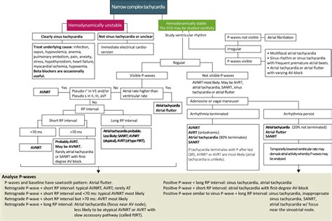 Diagnosis And Management Of Narrow Complex Tachycardia And Wide Complex