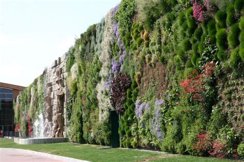 Things to do in rozzano, italy: IPERMERCATO FIORDALISO A ROZZANO.. AMMIRIAMO LA PARETE ...