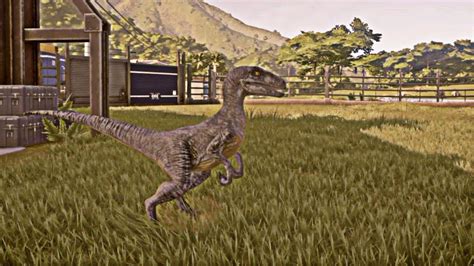 Velociraptor Jurassic World Evolution 2018 Youtube