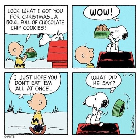 A Boy Named Charlie Brown Snoopy Cartoon Snoopy Comics Snoopy Quotes