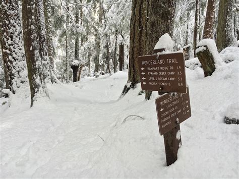 How To Take A Winter Hike In Mount Rainier National Park