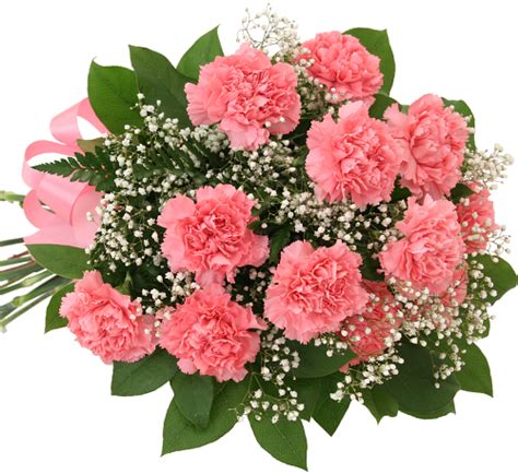 12 Pink Carnations Bouquet Bq31aa Canada Flowers