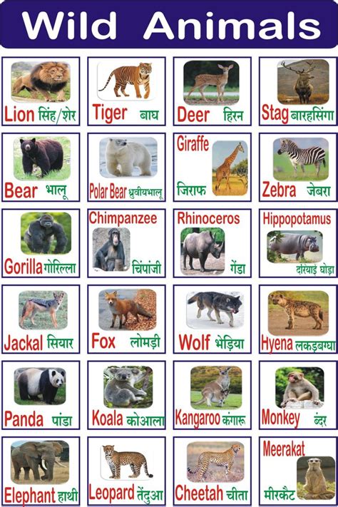 Ten Wild Animals Name In Hindi Freeislandwallpapersforiphone