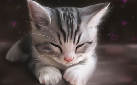 Wallpaper Drawing Animals Sleeping Artwork Nose Kittens