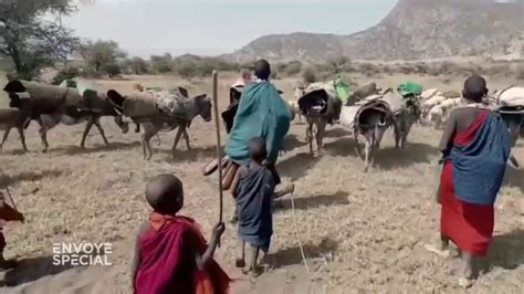 Video Tanzanie Les Massaïs Chassés De Leurs Terres