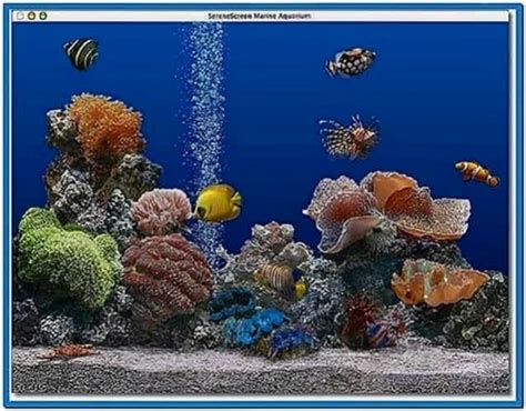 3d Desktop Aquarium Screensaver Mac Free Download