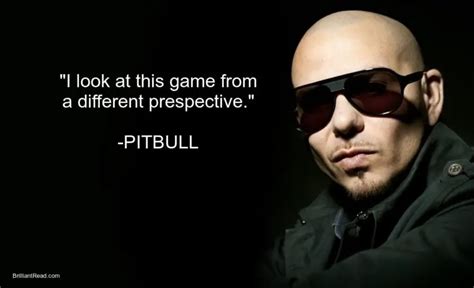 20 Best Pitbull Quotes On Life Success And Business Brilliantread Media