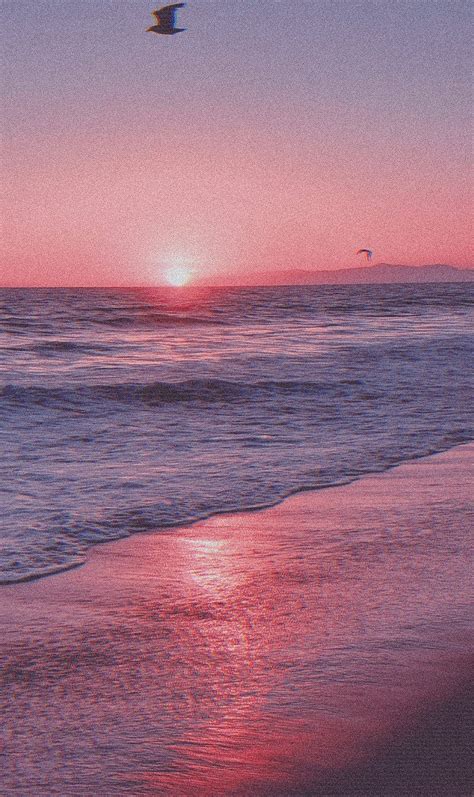Download Aesthetic Beach Pink Sunset Wallpaper