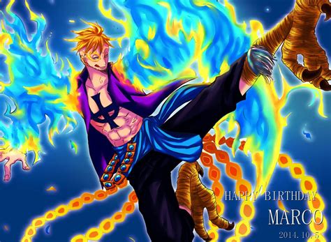 ❤ get the best one piece wallpapers on wallpaperset. One Piece Marco Wallpapers - Wallpaper Cave