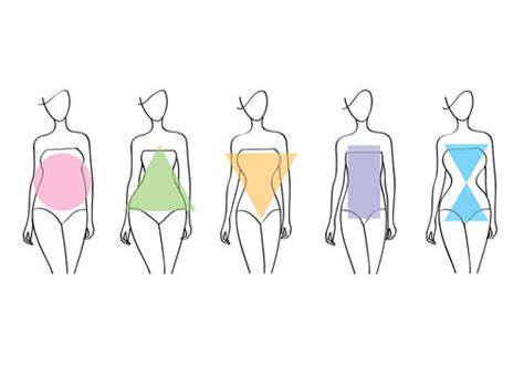 Illustrations Body Types Images Browse 19977 Stock Photos Vectors