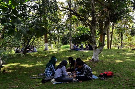 Check spelling or type a new query. Temu Kencono, Kebun Durian dan Wisata Agro | Seputar Semarang