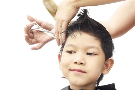 A Boy Is Cut His Hair By Hair Dresser Isolated Over White Background