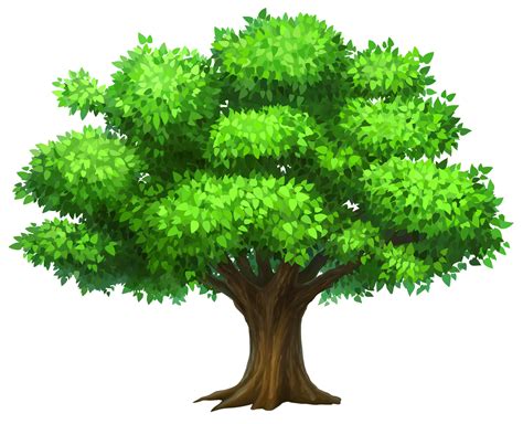 Oak tree tree clipart clipart | Tree images, Tree clipart, Family tree images