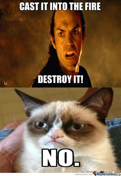 Lord Of The Rings Grumpy Cat By Hoyer32 Meme Center