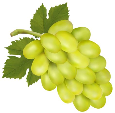 Grapes Yellow Clipart Clip Art Library