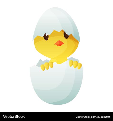 Cute Little Cartoon Chick Hatched From An Egg Vector Image