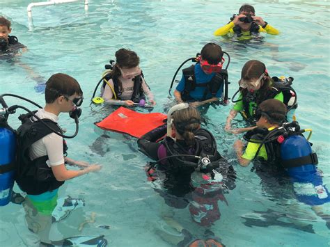 Scuba Steph: The Mystery Uncovered