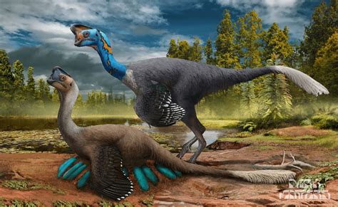 Miracle Fossil Reveals Dinosaur Behavior Dark Matters Magazine