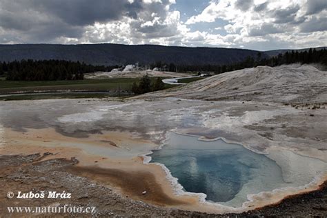 Yellowstone Np Naturfotocz