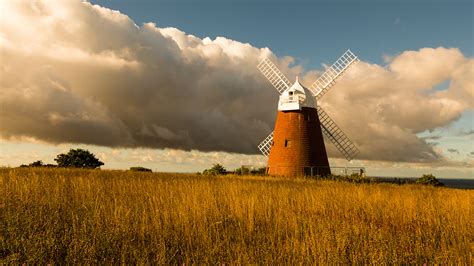 Image England Mill Halnaker Windmill Autumn Nature Fields 1920x1080