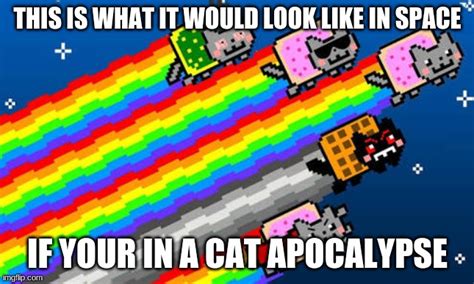 Nyan Cat Imgflip