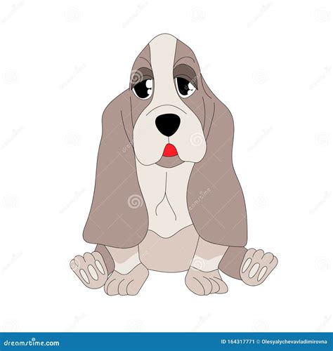 A Vector Cartoon Cute Basset Hound Puppy Stock Vector Illustration