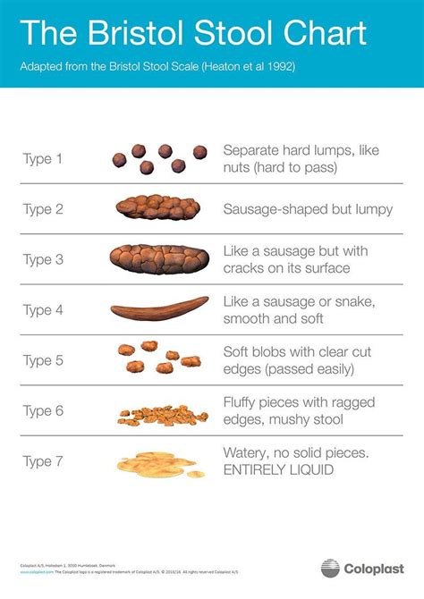 What Is The Bristol Stool Chart Is My Poo Normal Stool Reveals All