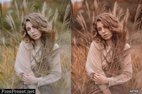 Moody Brown Lightroom Presets 6285184