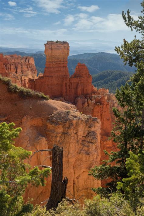 Bryce Canyon National Park Images By Dave Koch Photography