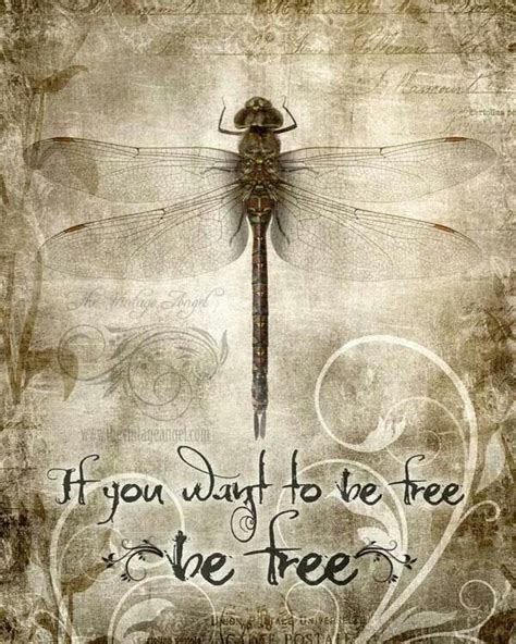 Be Free Dragonfly Quotes Dragonfly Art Dragonfly