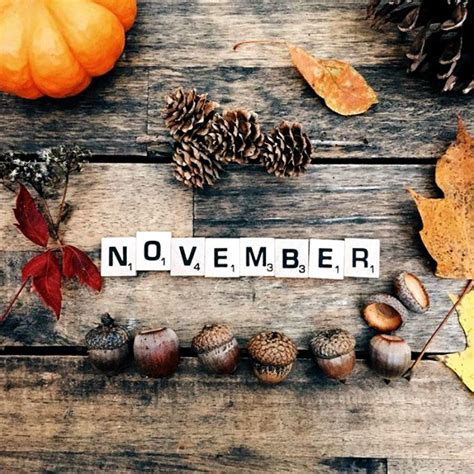ᴀᴜᴛᴜᴍɴ ᴇǫᴜɪɴᴏx | Welcome november, Hello november, November wallpaper