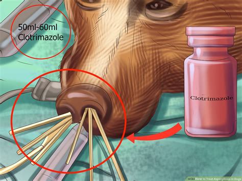 What Causes Green Nasal Discharge In Dogs