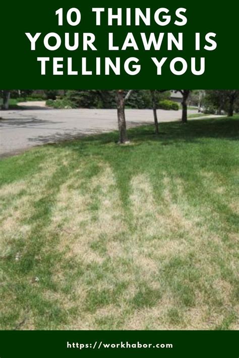 The Lawn Communicates And You Need To Know What Its Saying Read 10