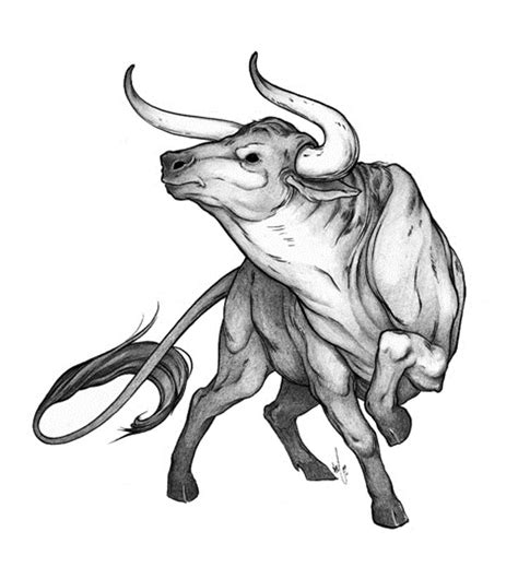 Bull Tattoos Tattoofan Taurus Bull Tattoos Bull Tattoos Taurus