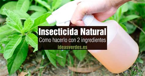 DIY Cómo hacer un insecticida natural Ideas Verdes