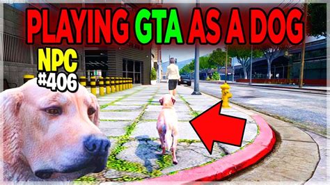 I Pretended To Be A Dog Npc In Gta Rp And Trolled The Whole Server