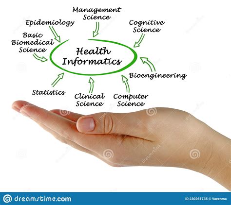 Components Of Health Informatics Stock Illustration Illustration Of