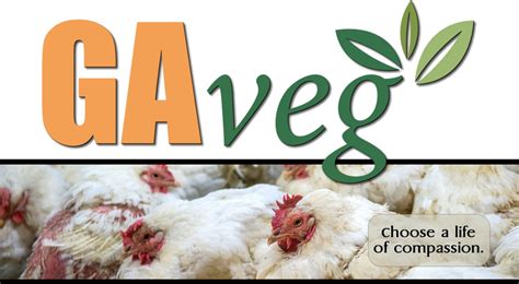 Founded in 1974, navs promotes veganism through events, educational literature and support for its members. Georgia Vegetarian Society - Information and resources for ...