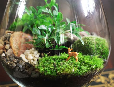 Any ideas what kind of cactus will grow fast and large and will grow indoors in the 6a zone. 7 creative urban gardening hacks for spring