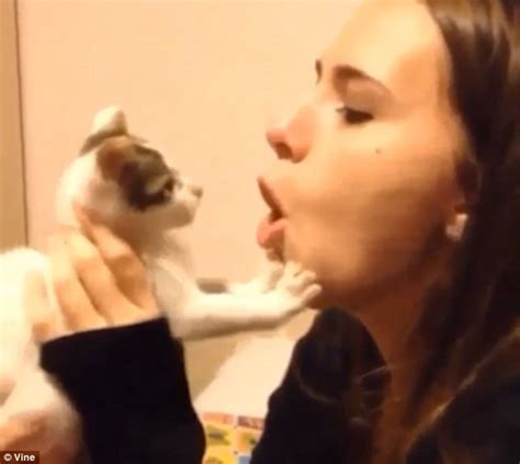 vine video shows a kitten bite a woman s lip as they play together daily mail online