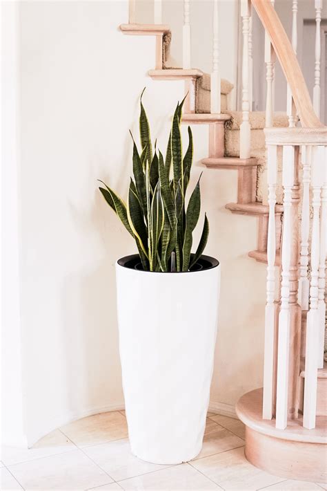 Au $26.37 to au $26.82. Nested Plastic Self Watering Round Planter Pot (PL3448WT ...