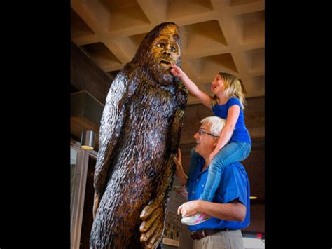 The Legend Of Bigfoot At Salt Fork State Park Cambridge Ohio Guernsey