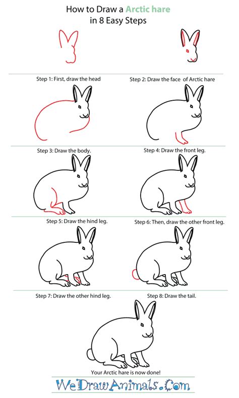 Maybe you would like to learn more about one of these? How to Draw an Arctic Hare