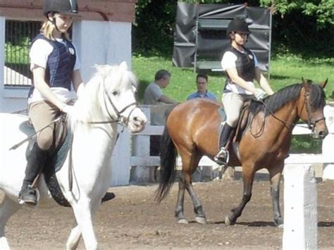 Sunnybrook Stables Riding Camp Toronto Horseback Ridingequestrian