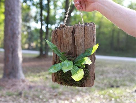 How To Make Hanging Wood Planters With Cork Bark Plants Wood