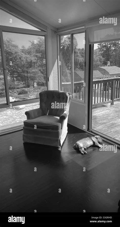 Sun Bathing Black And White Stock Photos And Images Alamy